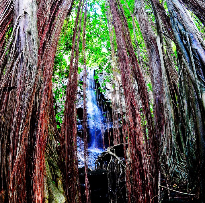 Cachoeira do Sancho, Fernando de Noronha. Foto por Roberto de Mesquita.